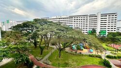 jurong-west-street-81 photo thumbnail #6